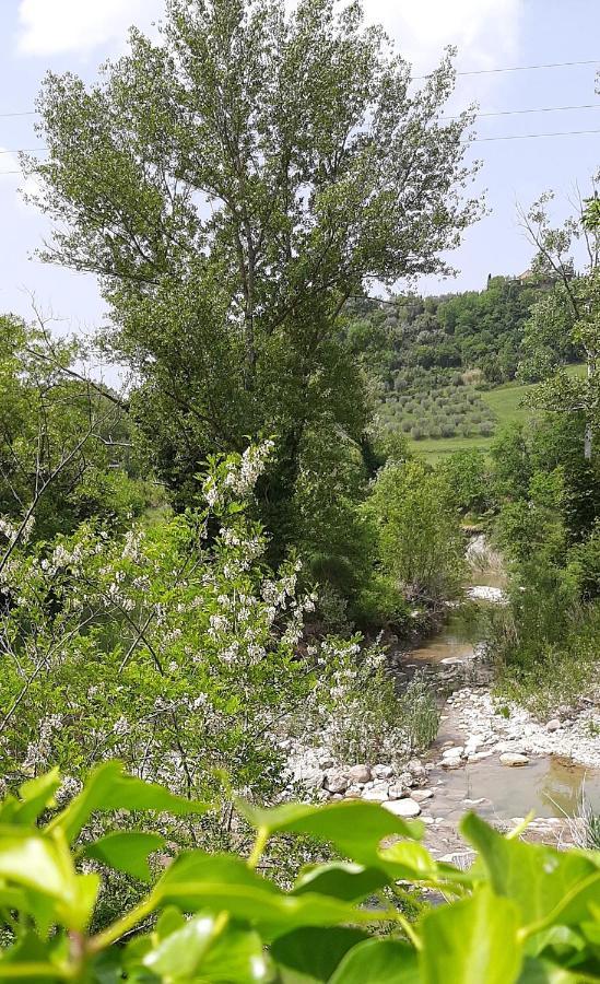 Podere Pian Dei Gelsi Volterra Luaran gambar